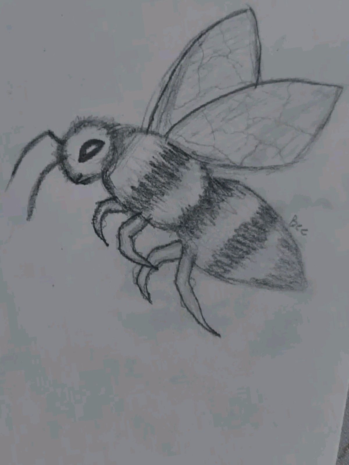 Easy Bee Drawing