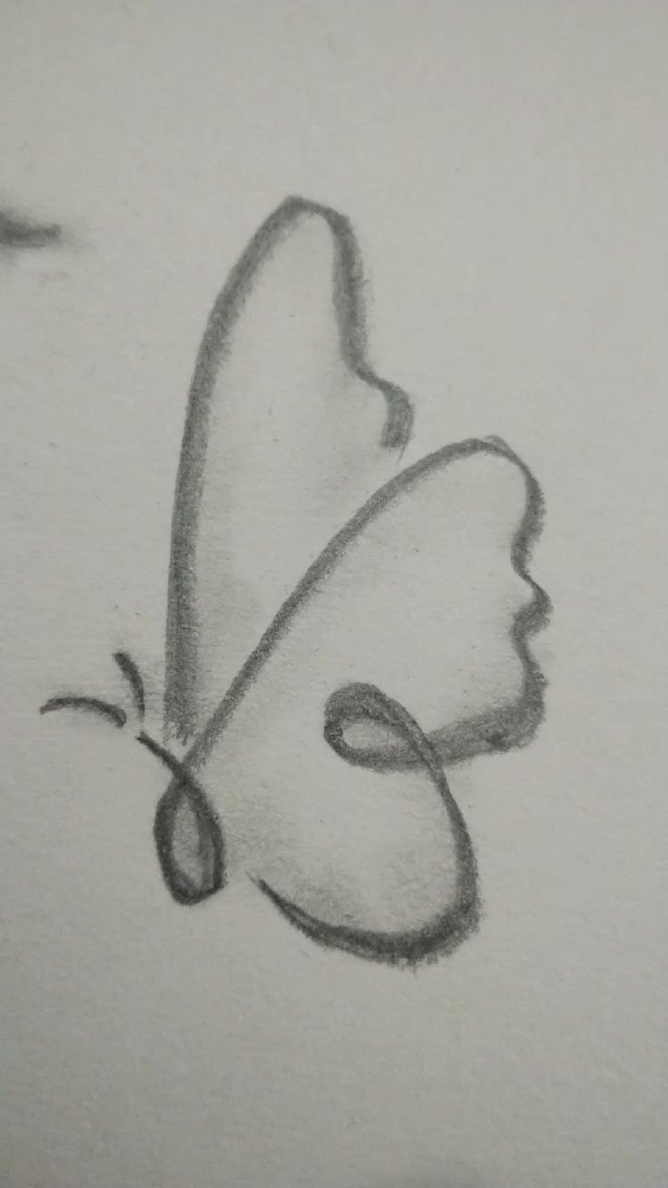 Easy Butterfly Drawing