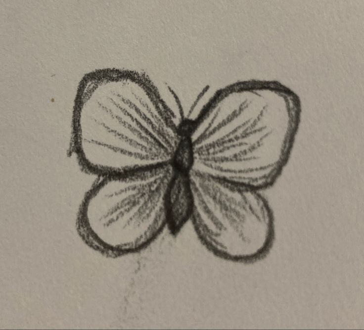 Easy Butterfly Drawing