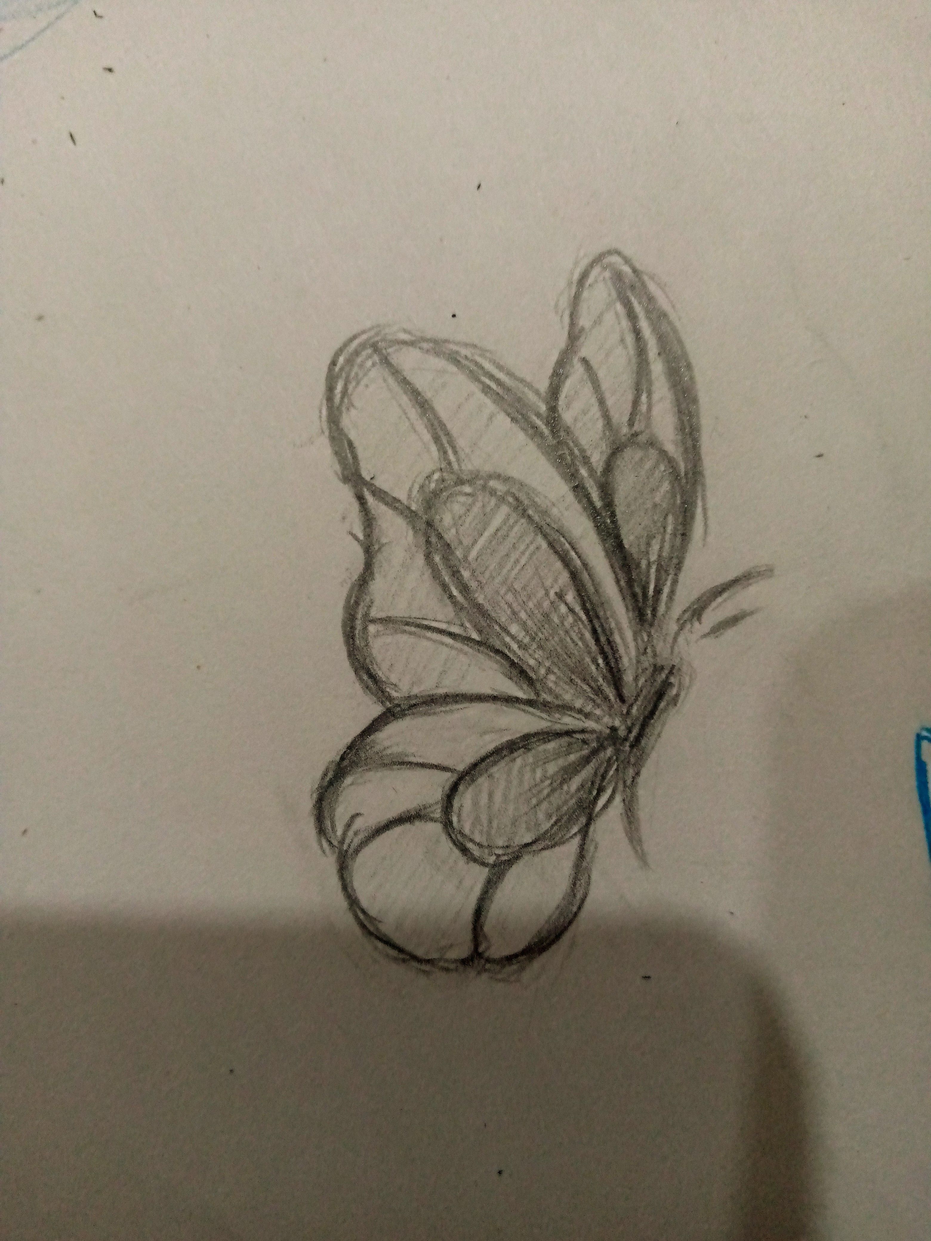 Easy Butterfly Drawing