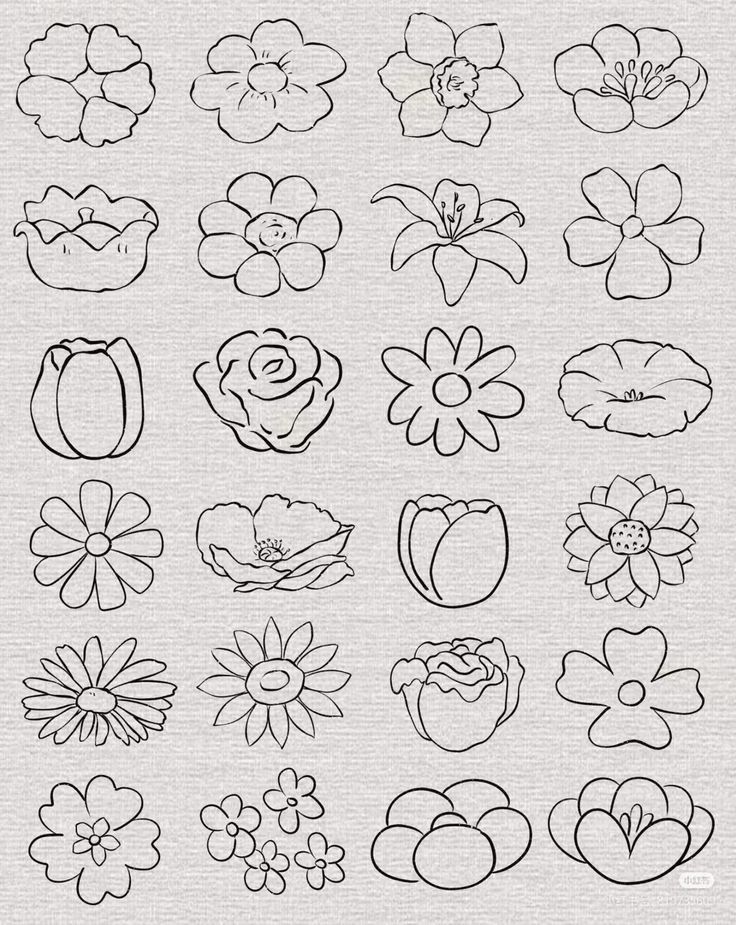 Simple Things to Draw: Easy Flower Doodle Collection