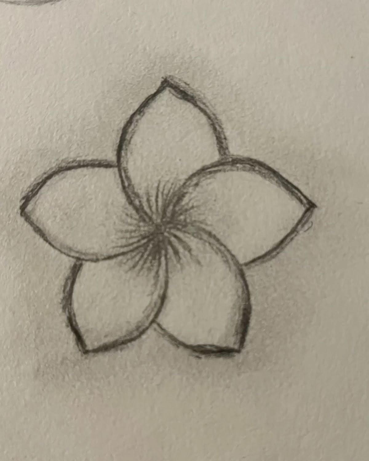 Easy Flower Sketch Drawing