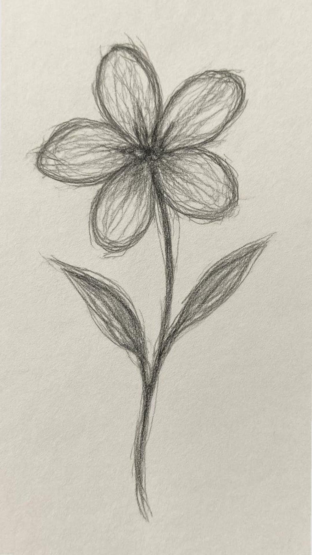 Easy Flower Sketch Drawing