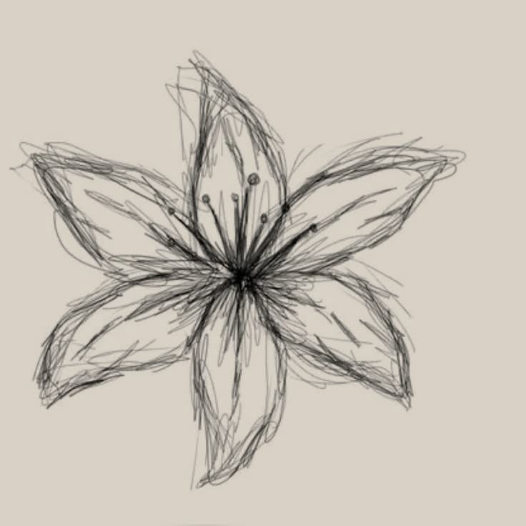 Easy Flower Sketch Drawing
