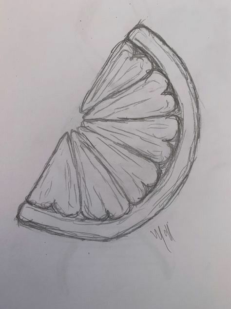 Easy Lemon Slice Drawing