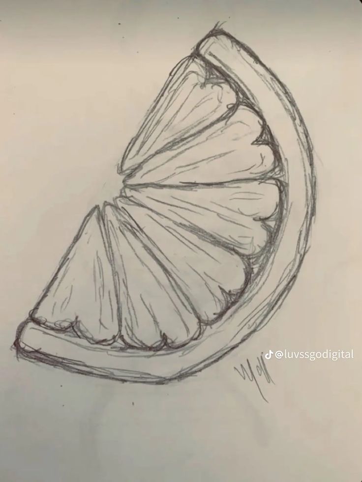 Easy Lemon Slice Drawing
