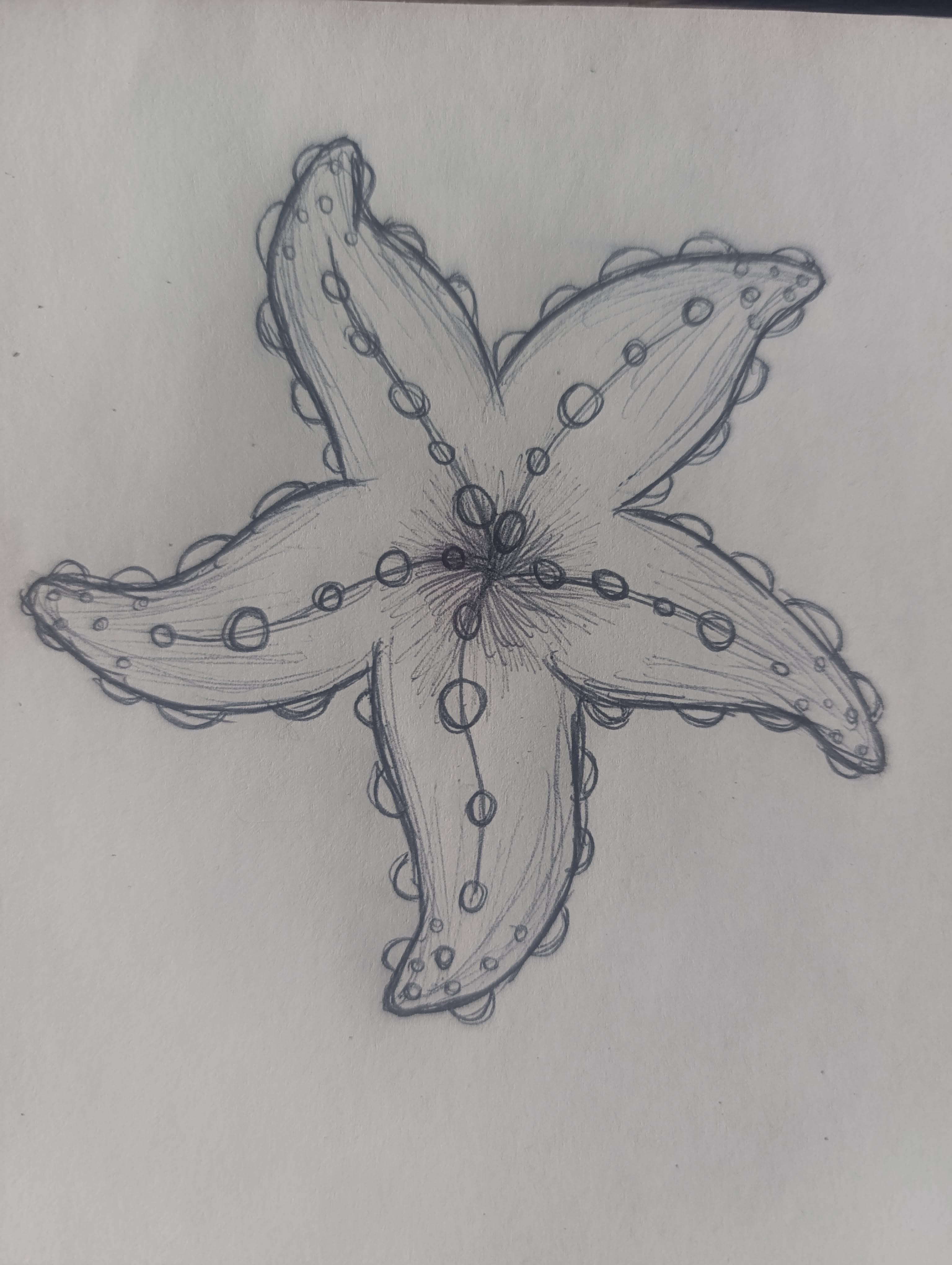 Simple Things to Draw: Easy Starfish Doodle Drawing