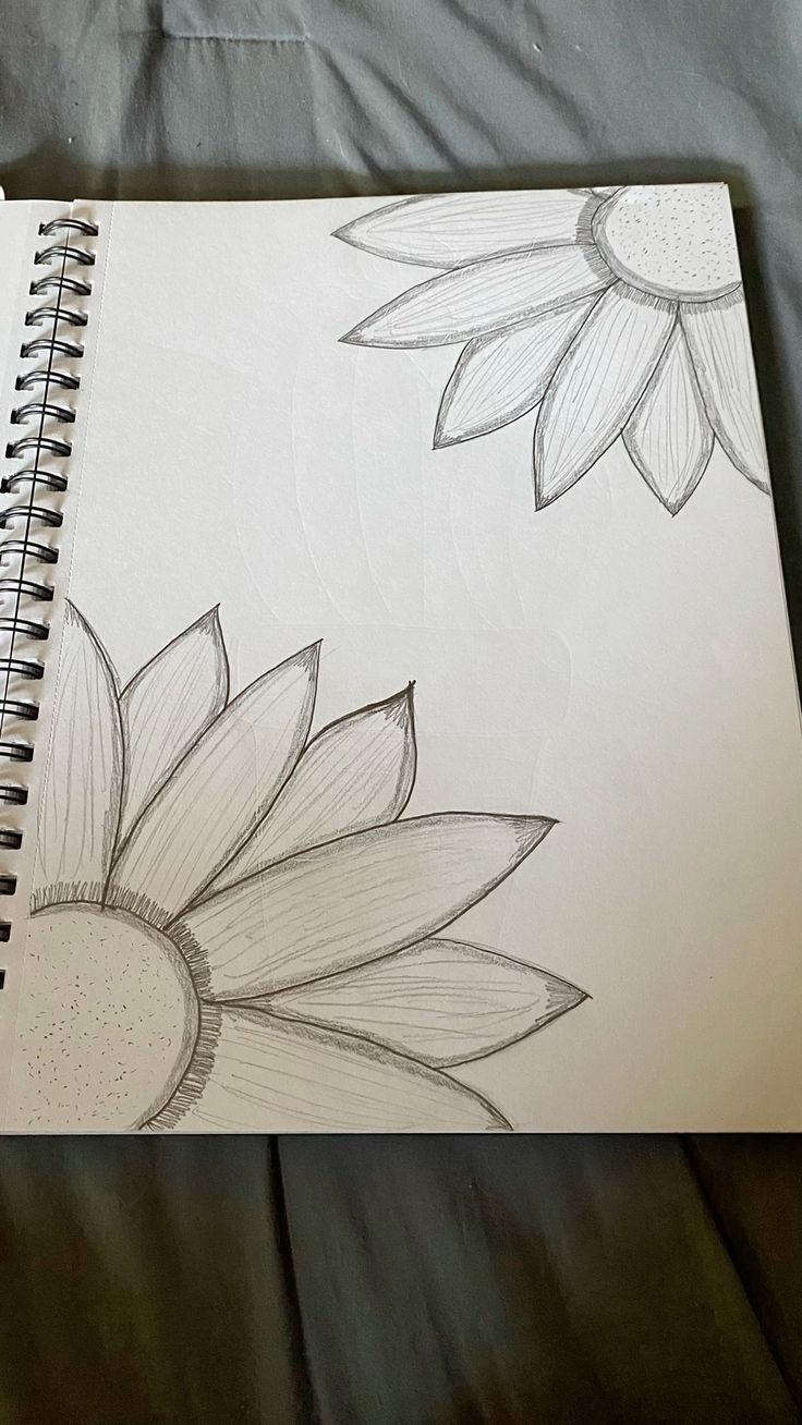 Easy Sunflower Sketch Drawing