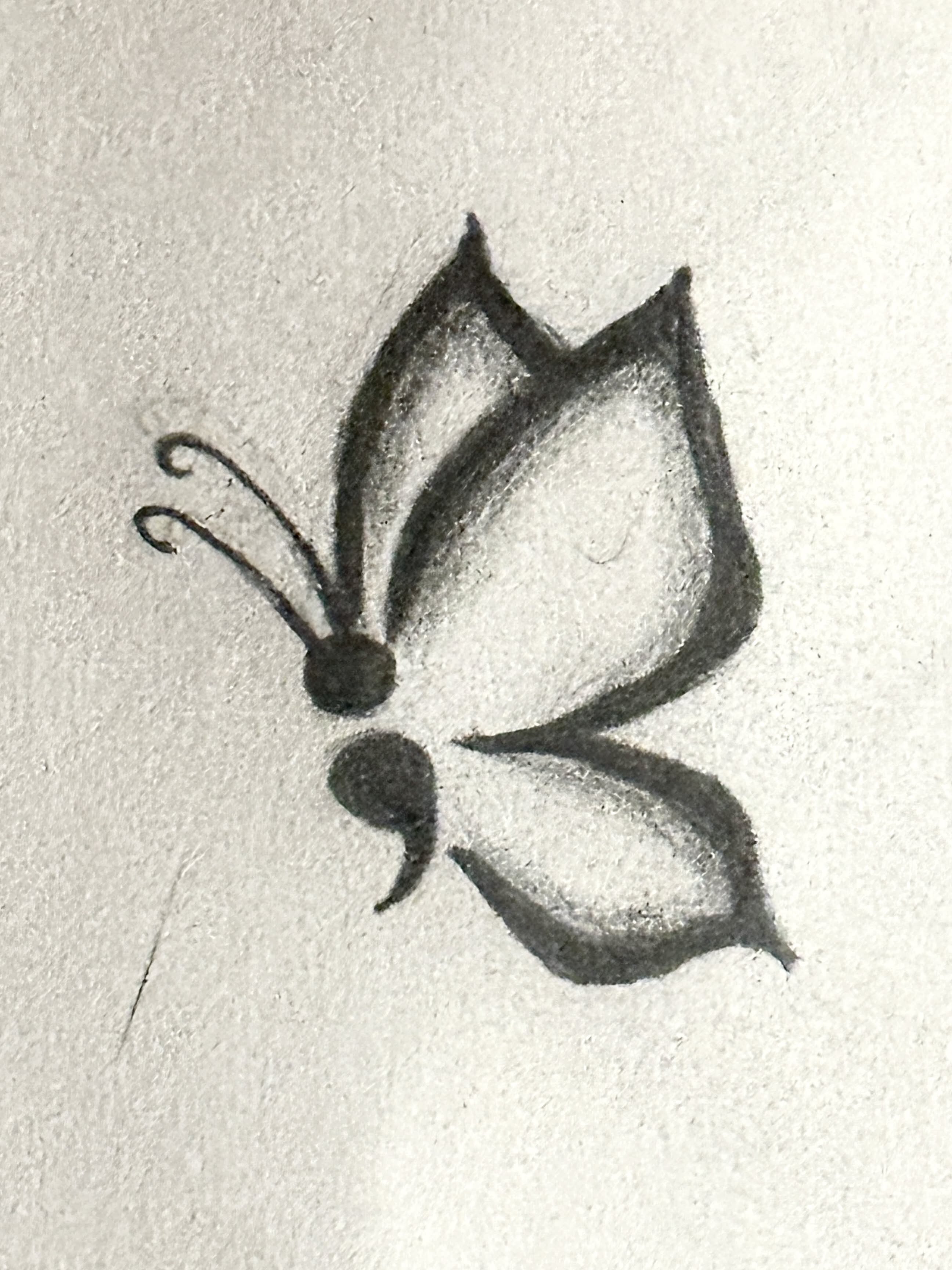 Elegant Butterfly Sketching
