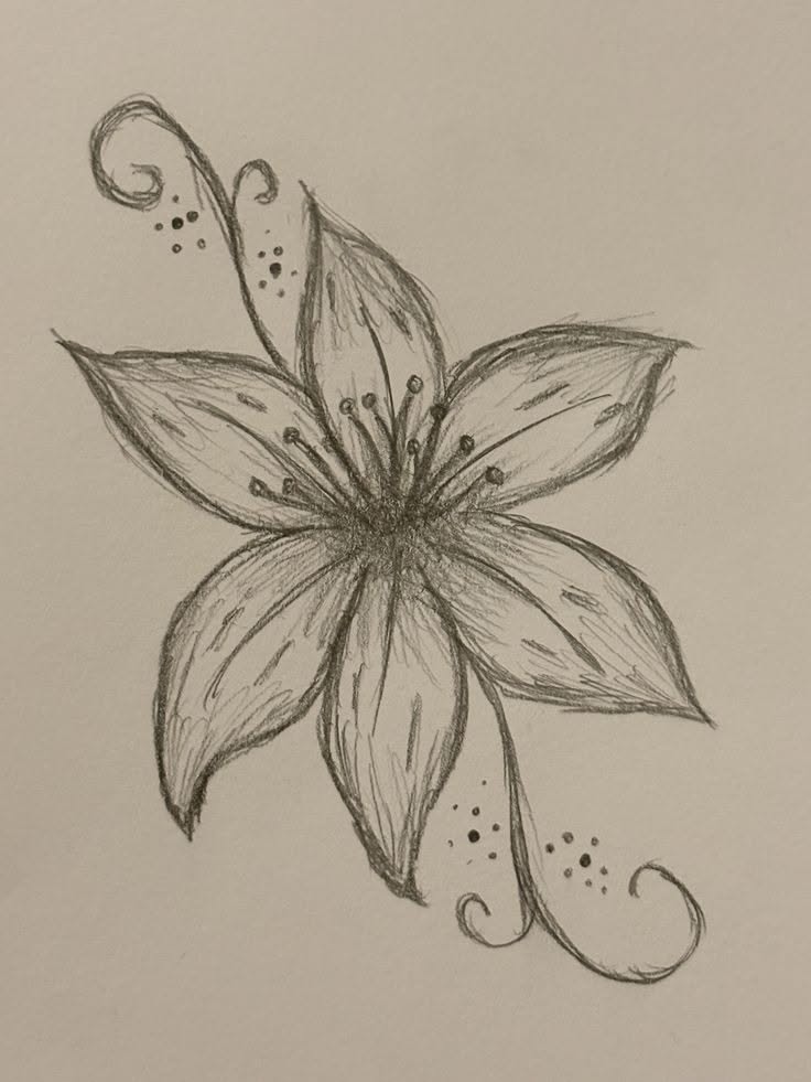Elegant Flower Sketch Drawing