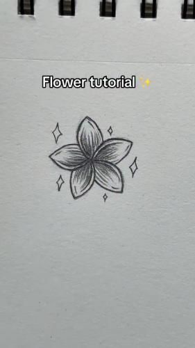 Elegant Flower Sketch Tutorial
