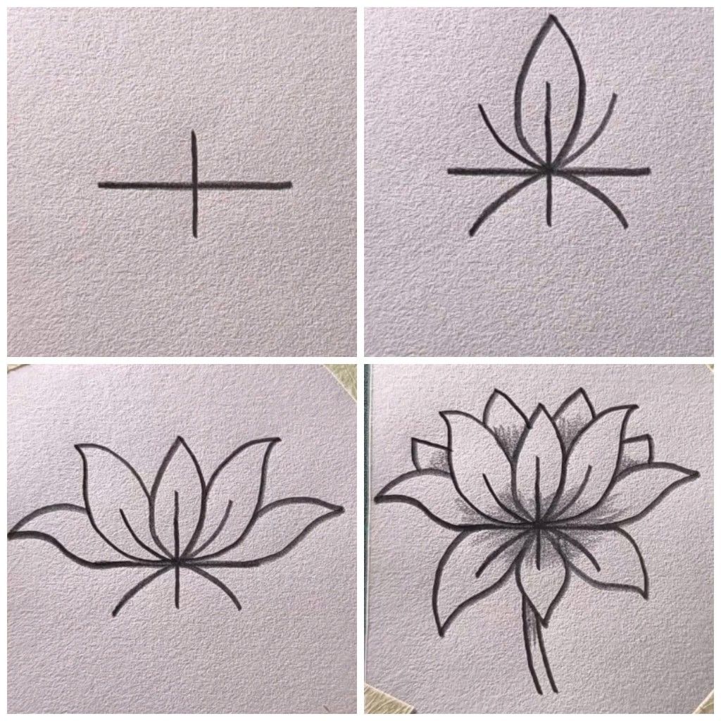 Elegant Lotus Flower Drawing