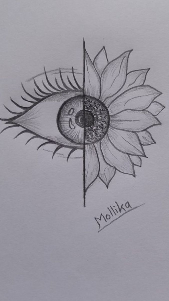 Eye and Flower Fusion Sketch