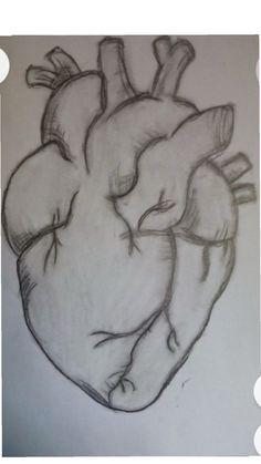 Realistic Heart Drawing