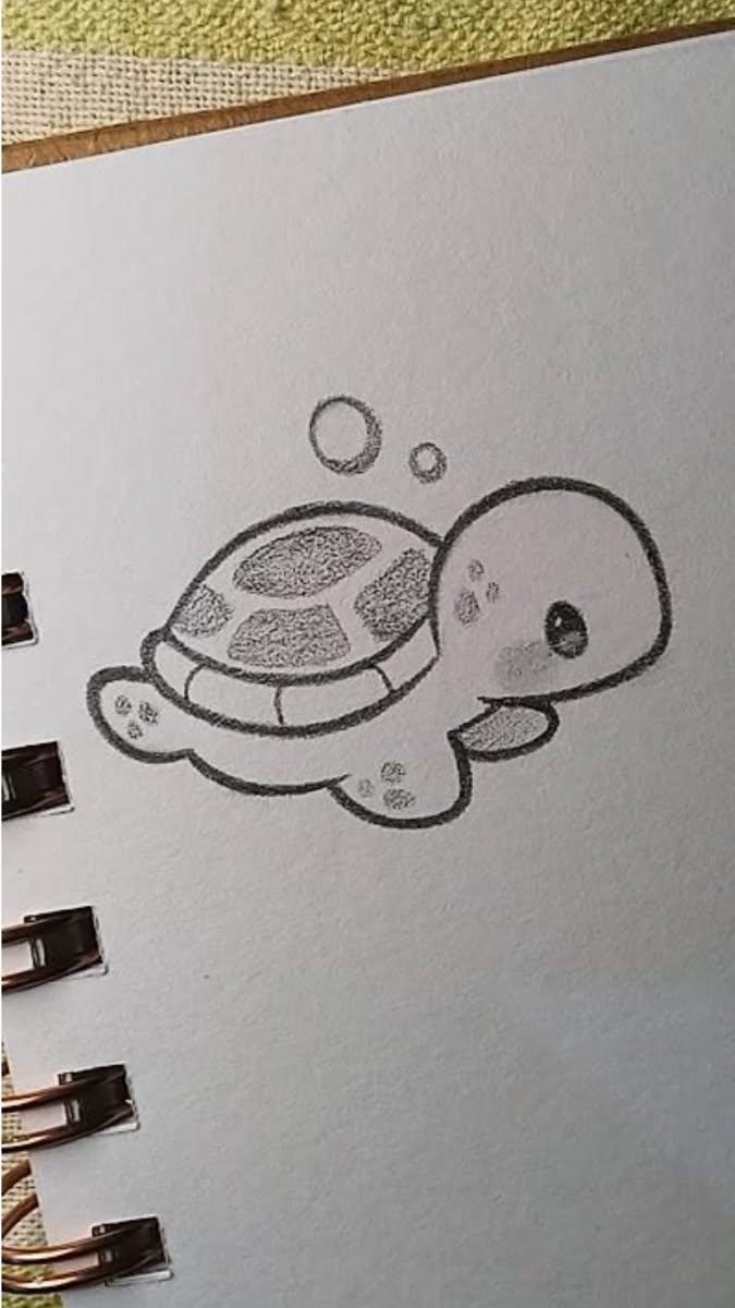 Adorable Baby Turtle Pencil Sketch