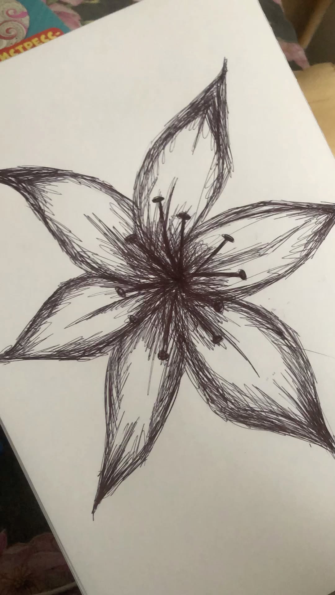 Elegant Flower Blossom Pencil Outline