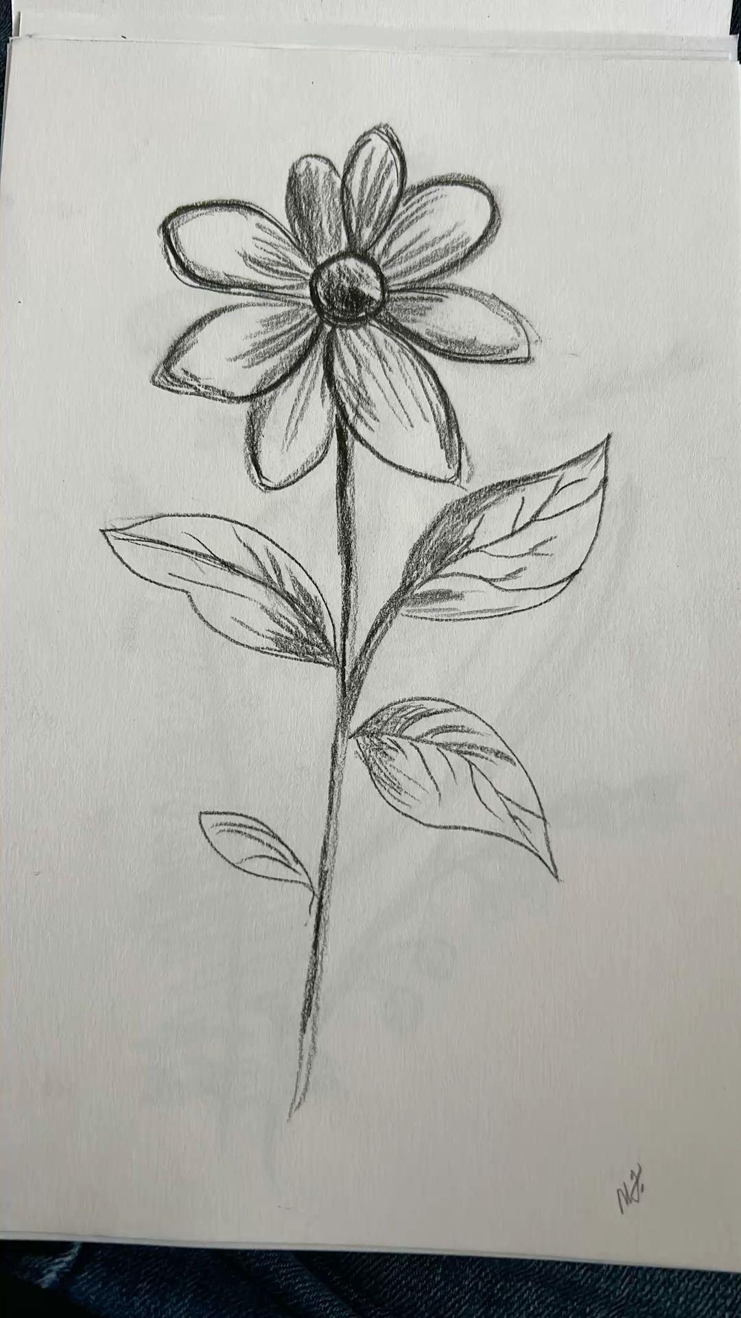 Elegant Flower Pencil Sketch Ideas