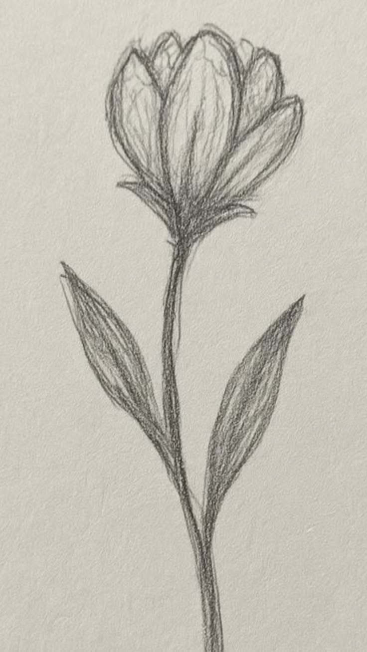 Elegant Flower Pencil Sketch Tutorial