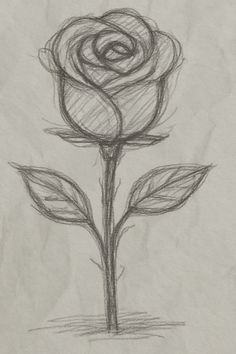 Elegant Pencil Rose Flower Sketches