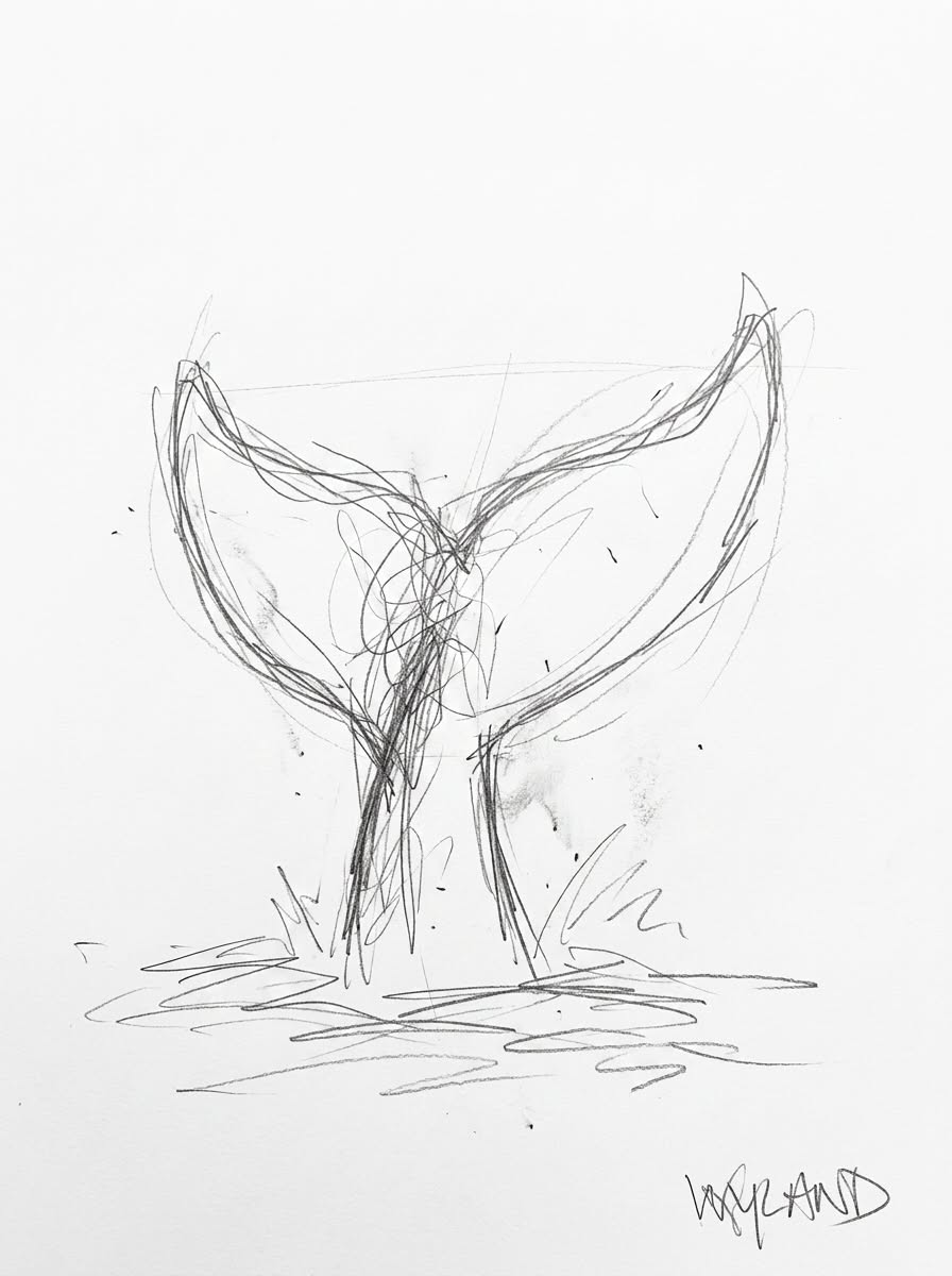 Elegant Whale Tail in Ocean Waves