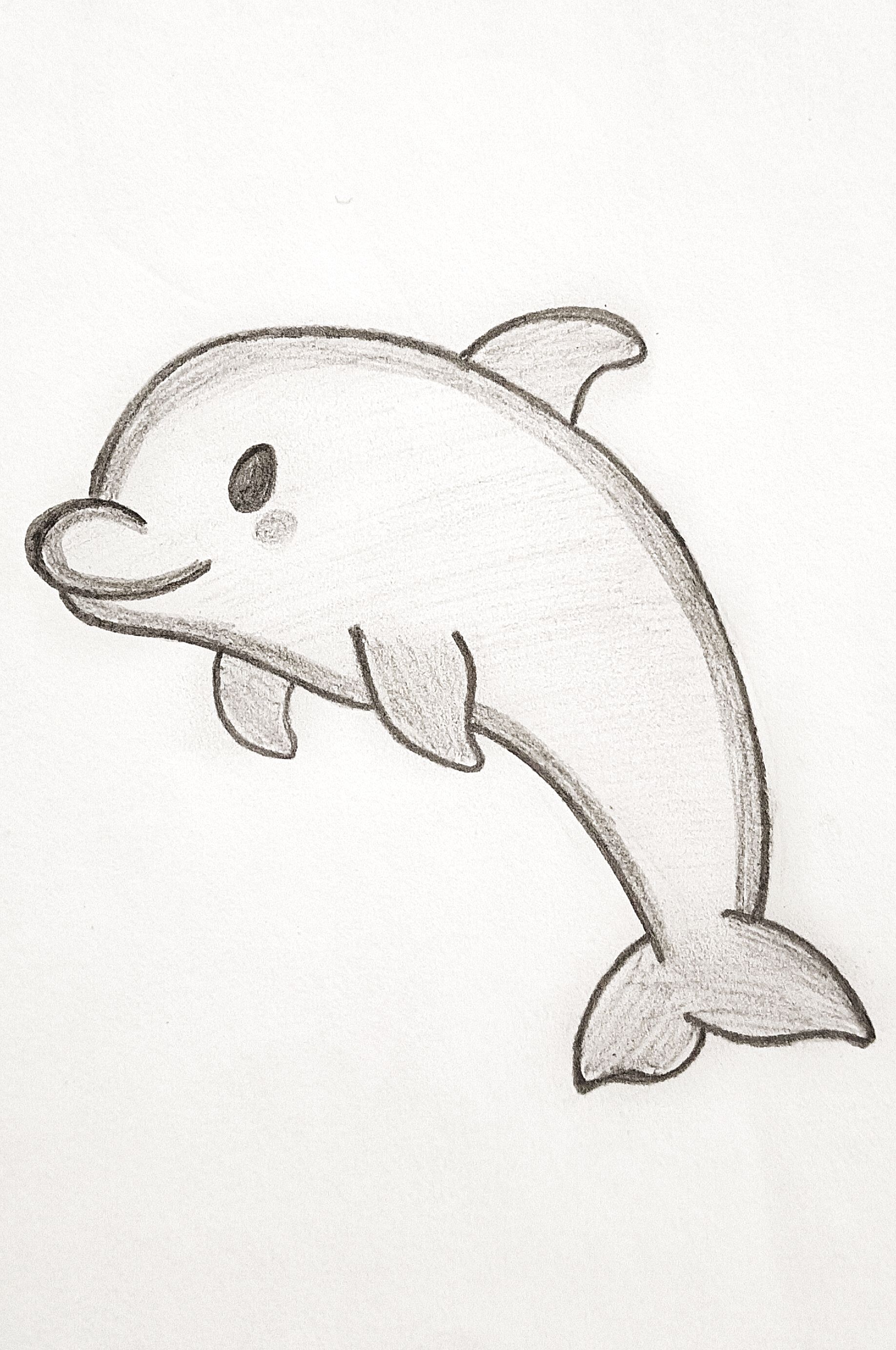 Adorable Dolphin Swimming Playfully
