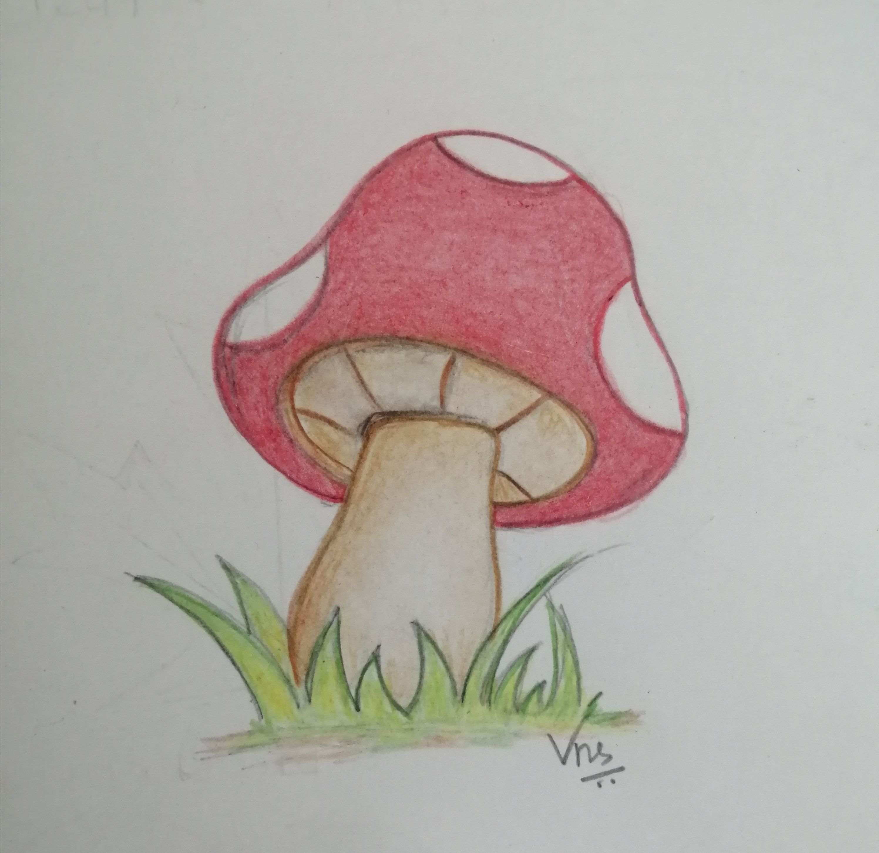Adorable Red Mushroom with White Spots