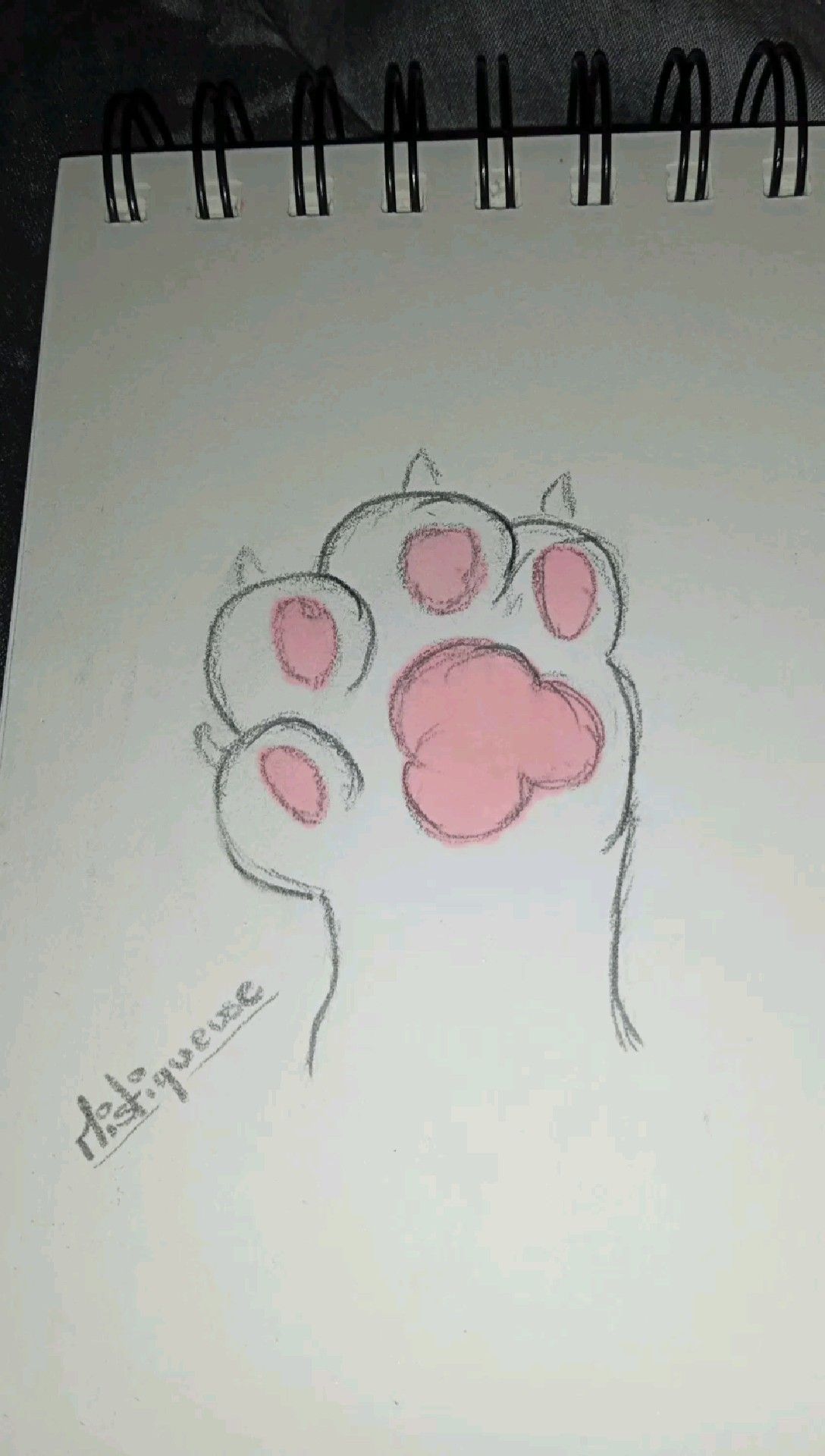Cute Animal Paw with Pink Pads