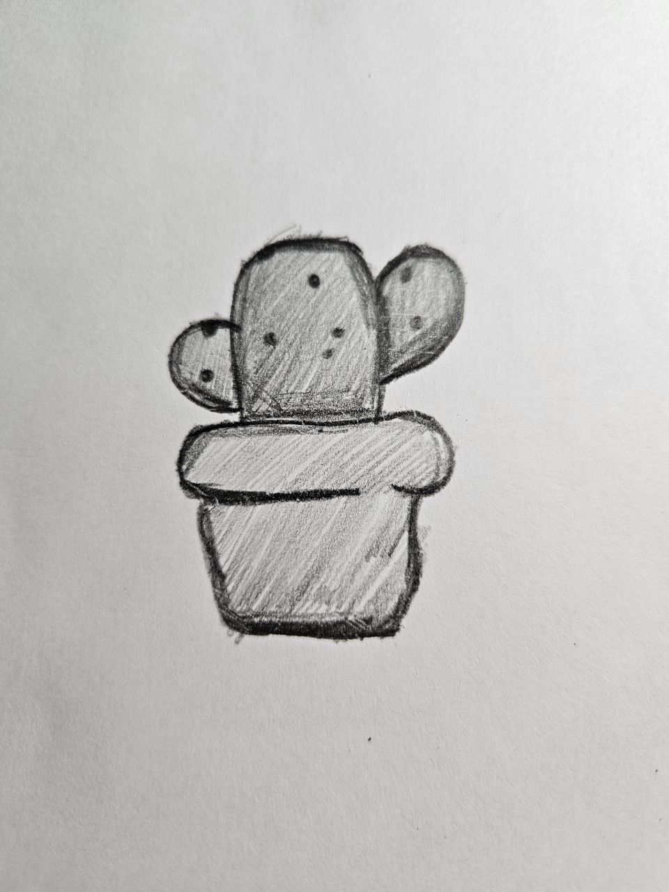 Cute Cactus in a Pot