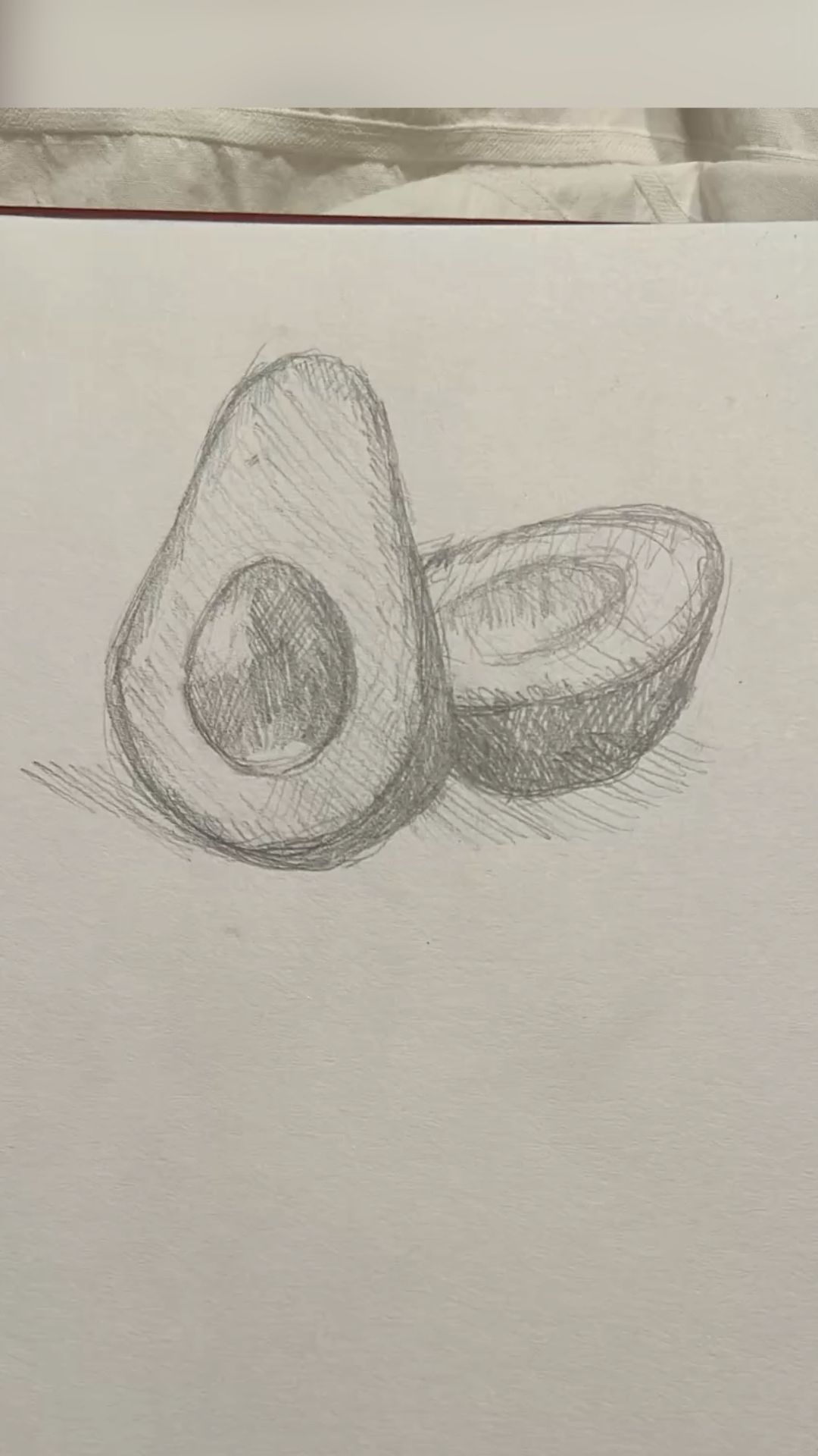 Realistic Avocado Halves