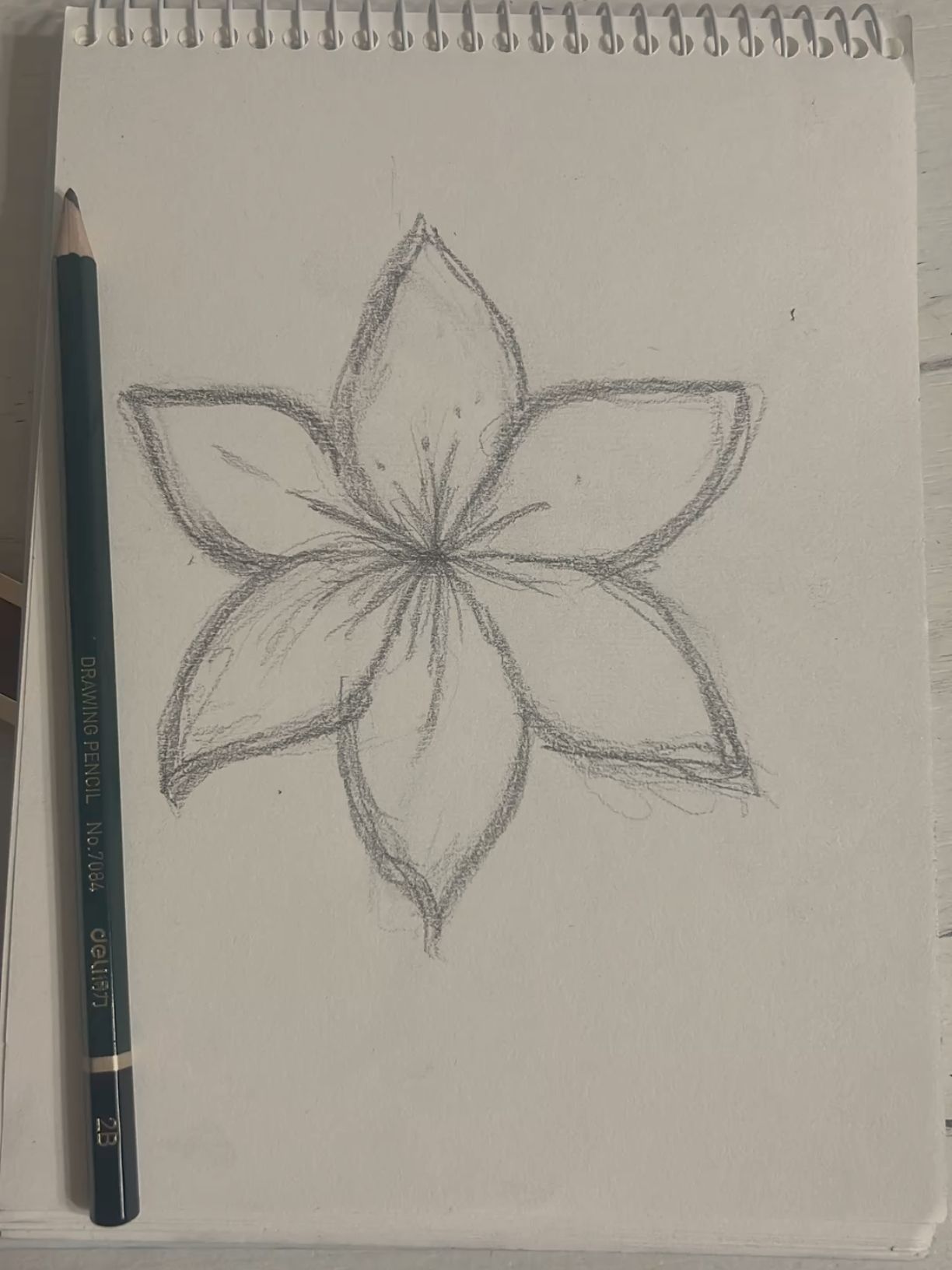 Simple Flower Sketch with Petals