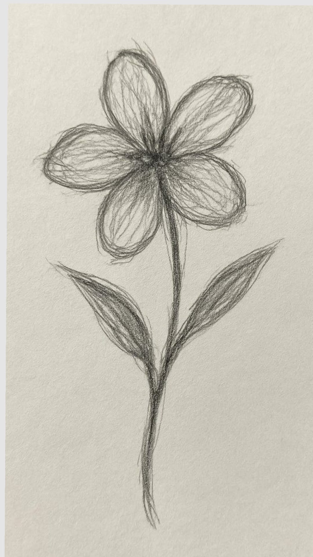Simple Flower with Delicate Petals