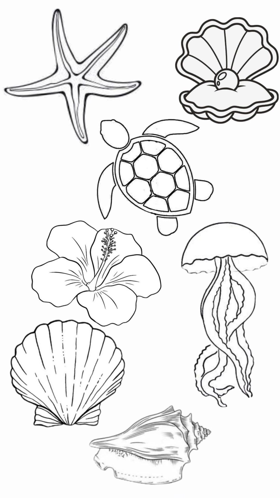 Under the Sea Creatures and Shells