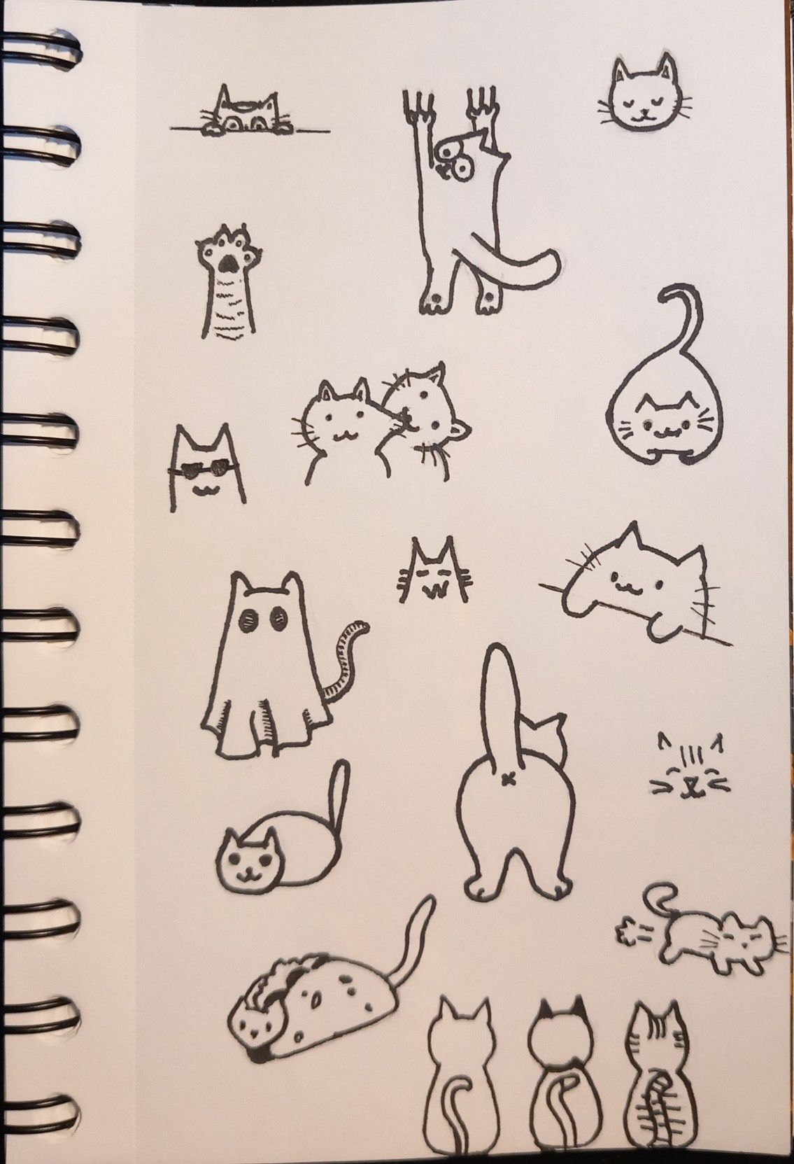 Cute Cat Characters with Playful Expressions