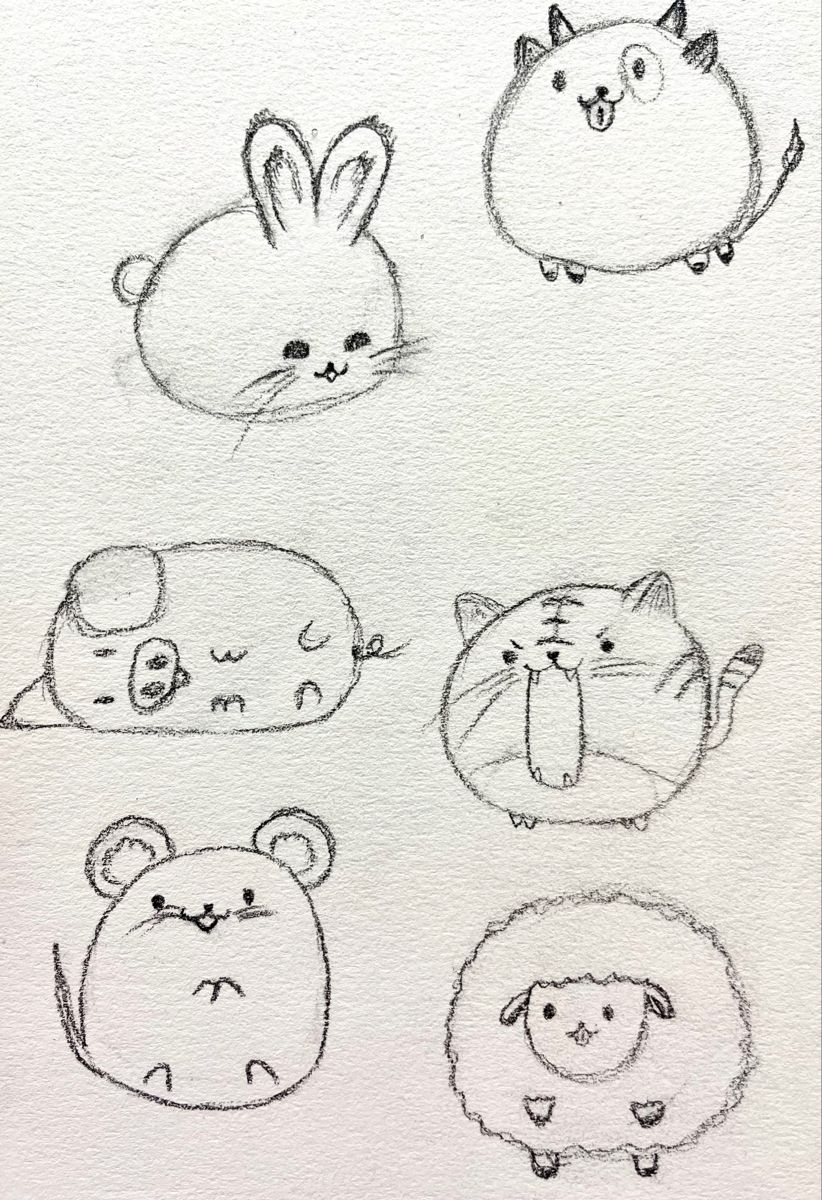 Cute Round Animals with Adorable Expressions