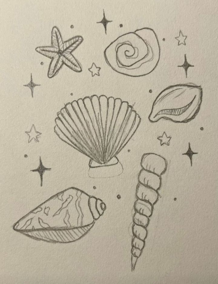 Fun Shells and Starfish Doodle Collection
