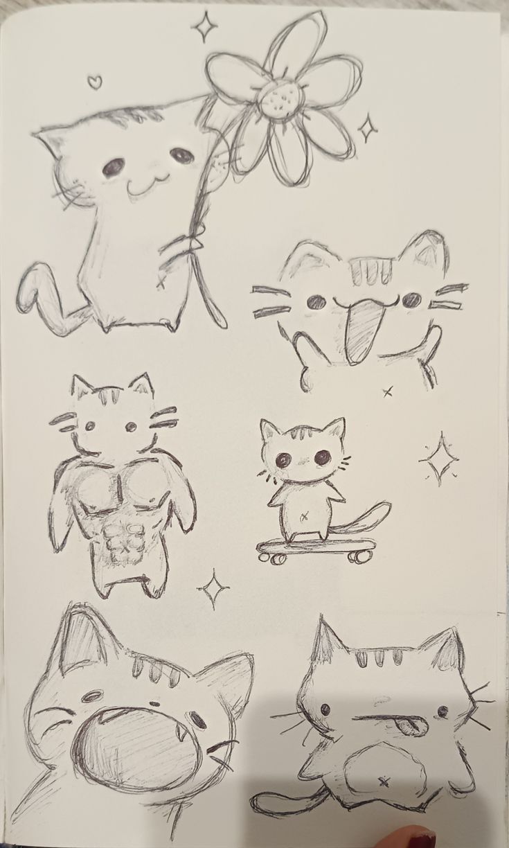 Playful Cats with Flower, Skateboard, and Funny Faces