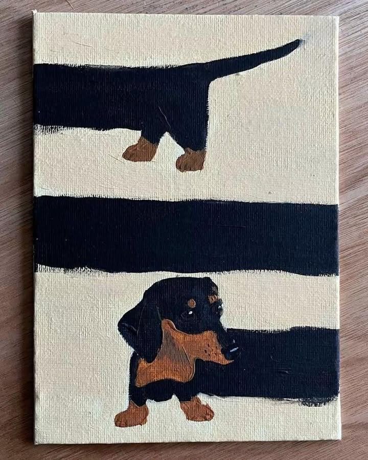 Adorable Dachshund Stripes